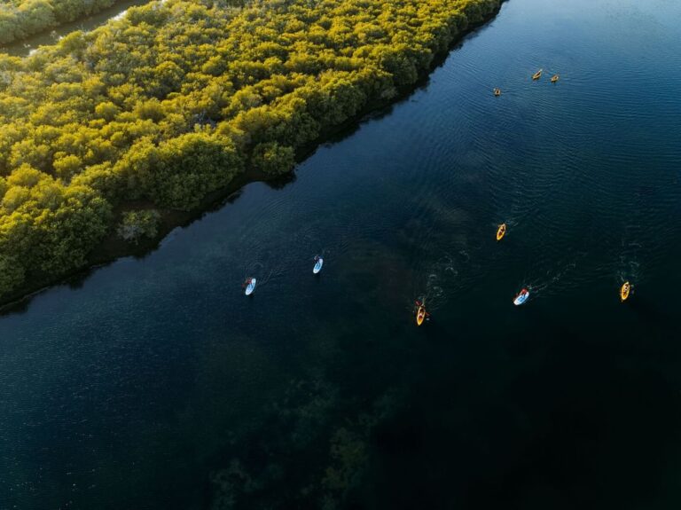 Sharjah to Promote Emirate’s Heritage at WTM London