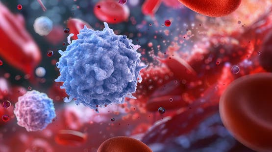 إنتاج خلايا ليمفاوية سليمة.. بروتين يفتح أملاً لعلاج التقدم بالسن