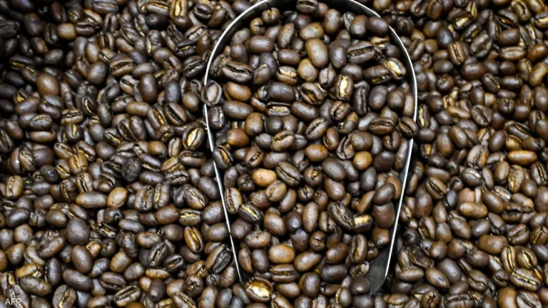 علماء يكتشفون فوائد جديدة للقهوة.. ما علاقة الخرسانة؟