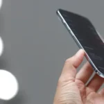 «وطني إبداعي» في حديقة «اللوفر أبوظبي»