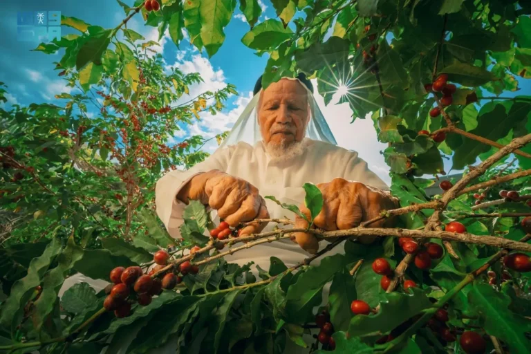 Saudi Coffee Company Launches  Saudi Sip of Excellence Competition
