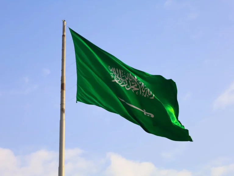 Saudi Digital Economy Expands GDP Share